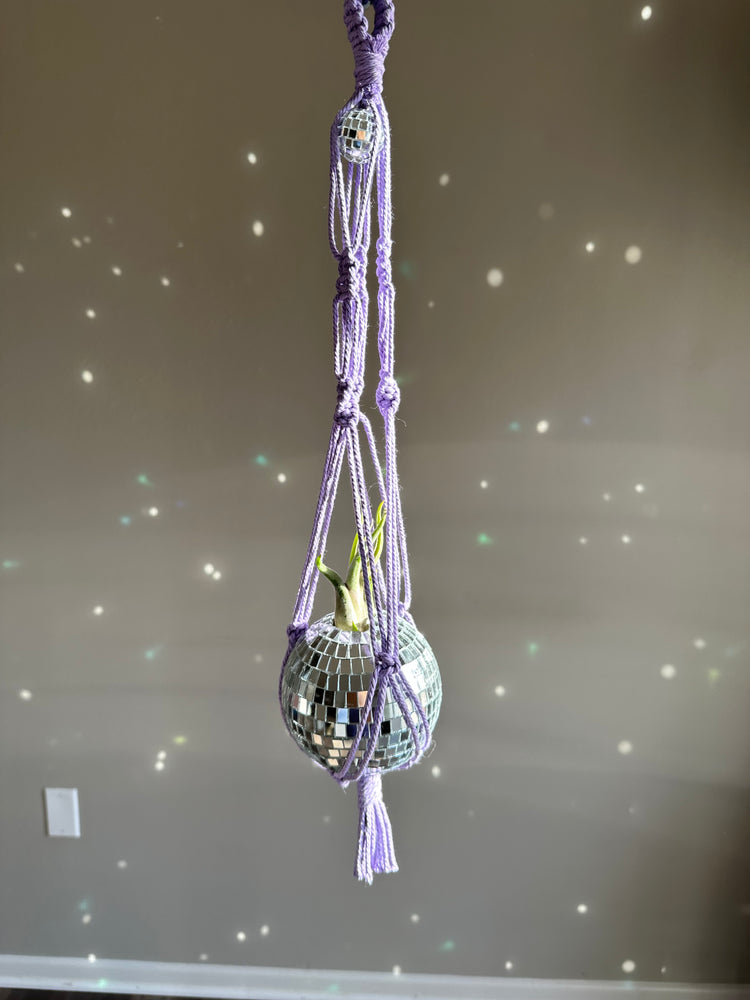 Disco Ball Macrame Planter + Air Plant - Lavender