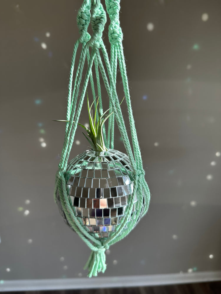 Disco Ball Macrame Planter + Air Plant -Mint