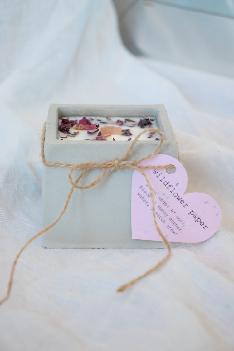 Wildflower Grow Candle Square - Rose