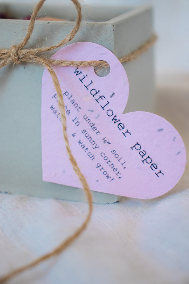 Wildflower Grow Candle Square - Rose