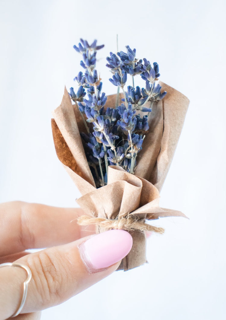 Nano Bouquet - Dried Lavender (Lavandula)