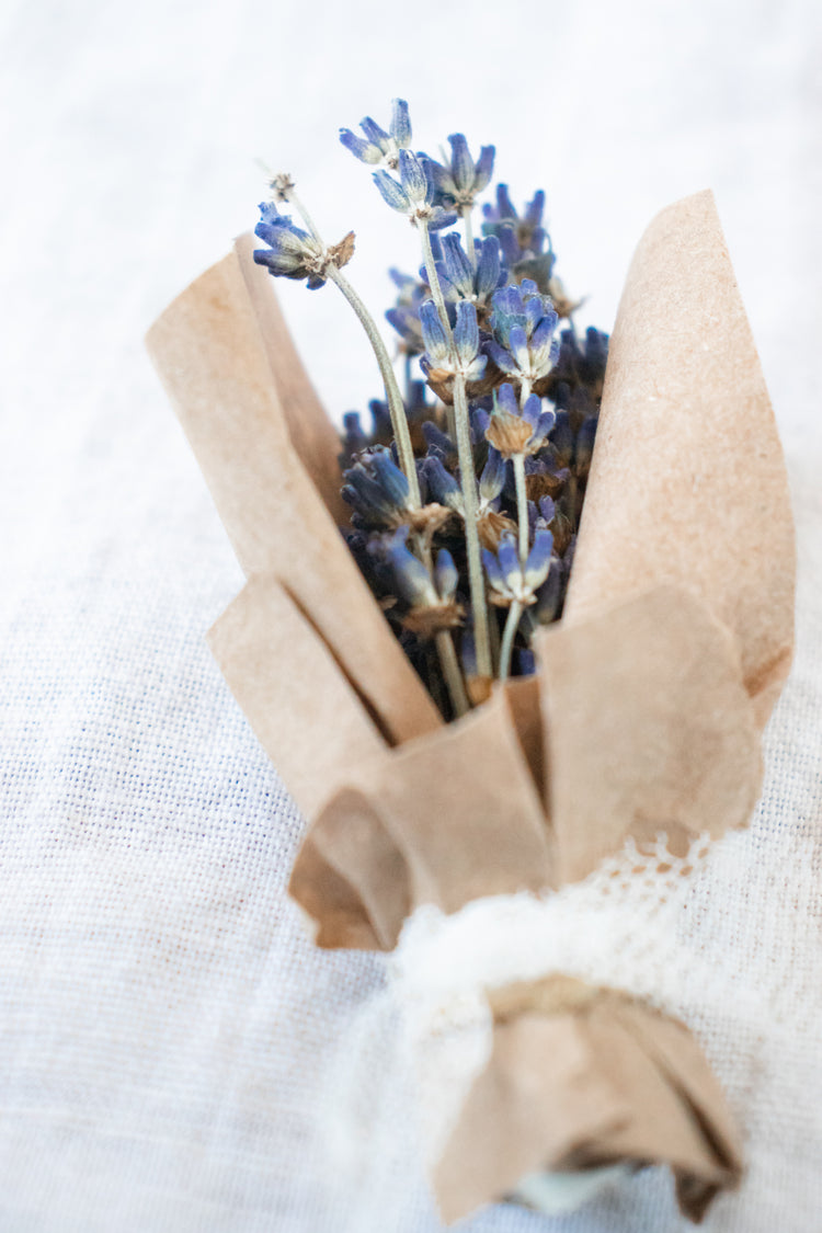 Nano Bouquet - Dried Lavender (Lavandula)