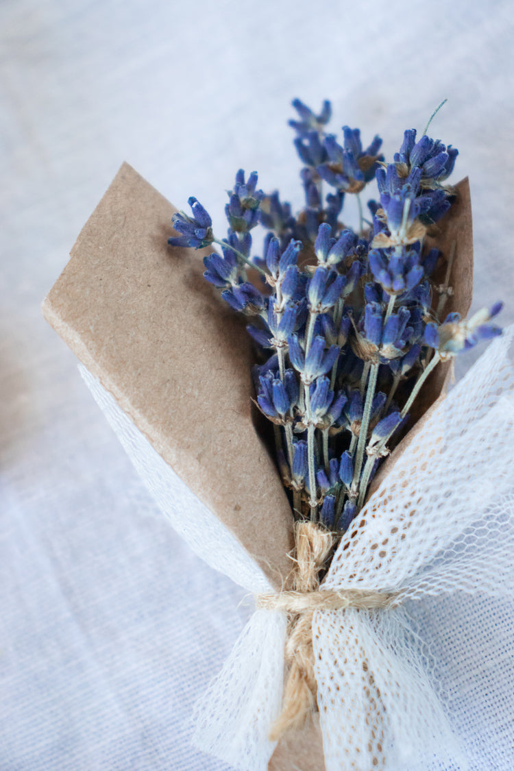 Nano Bouquet - Dried Lavender (Lavandula)