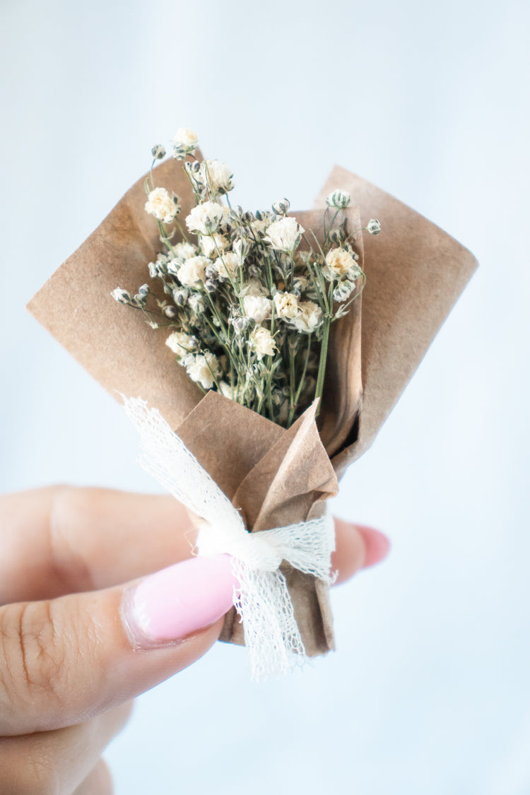 Nano Bouquet - Dried Baby’s Breath (Gysophila)