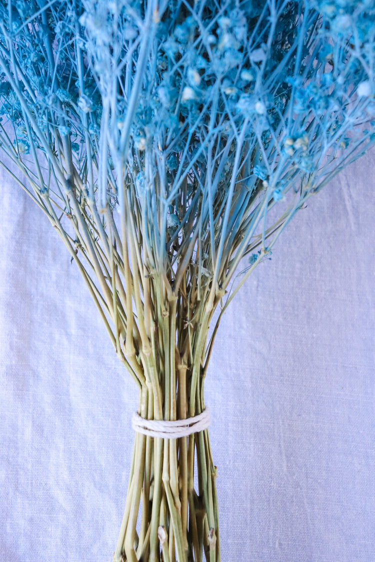 Dried Baby’s Breath (Gypsophila) - Baby Blue