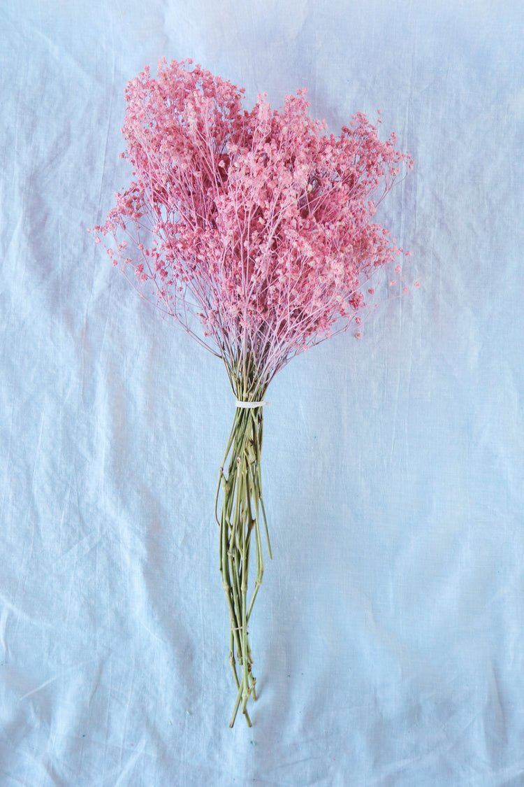Dried Baby’s Breath (Gypsophila) - Blush Pink