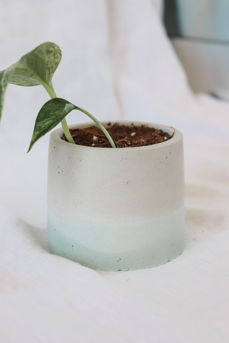 Aqua Concrete Plant Pot - Round