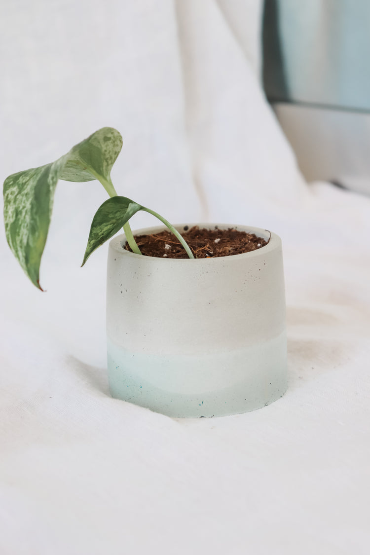 Aqua Concrete Plant Pot - Round