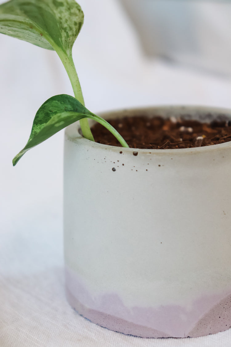 Lilac Concrete Plant Pot - Round