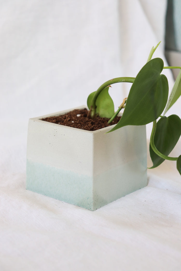 Aqua Concrete Plant Pot - Square