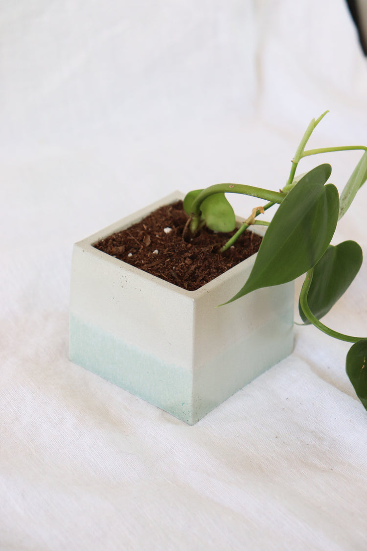 Aqua Concrete Plant Pot - Square