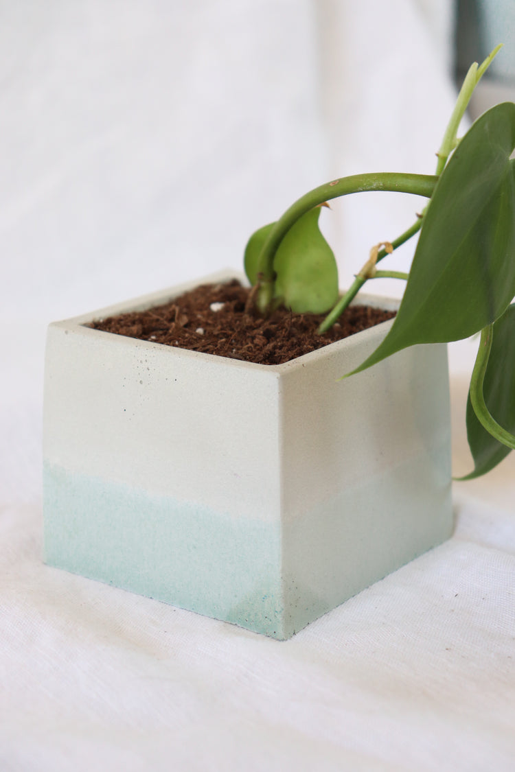 Aqua Concrete Plant Pot - Square
