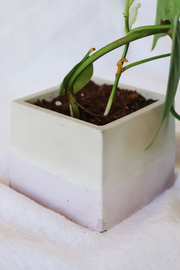 Lilac Concrete Plant Pot - Square