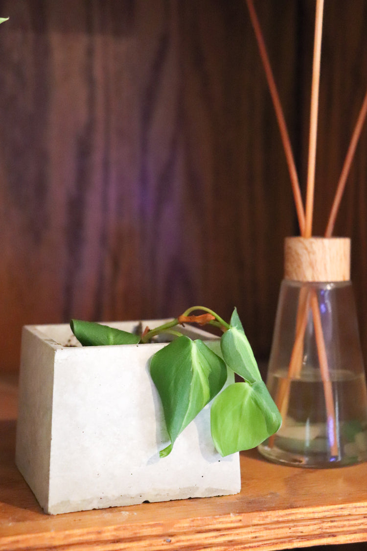 Concrete Plant Pot - Square