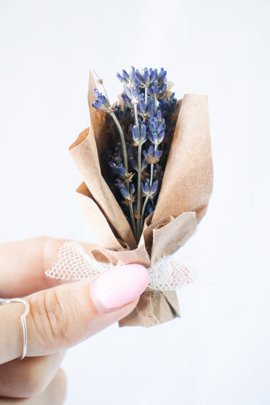 Nano Bouquet - Dried Lavender (Lavandula)