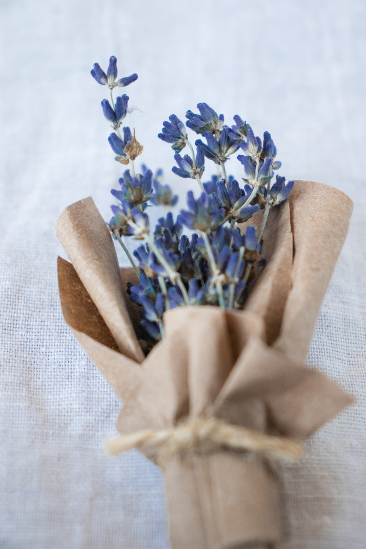 Nano Bouquet - Dried Lavender (Lavandula)