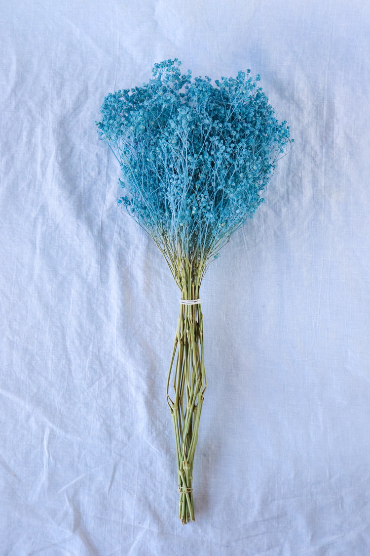 Dried Baby’s Breath (Gypsophila) - Baby Blue
