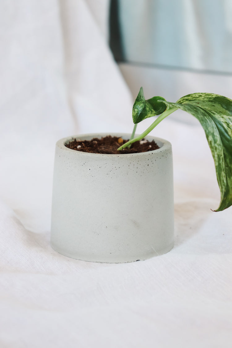 Concrete Plant Pot - Round