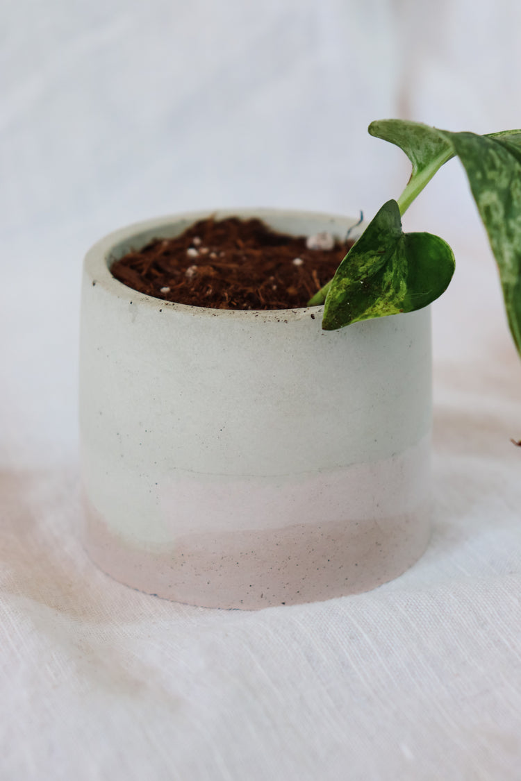 Blush Pink Concrete Plant Pot - Round