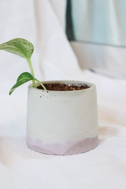 Lilac Concrete Plant Pot - Round