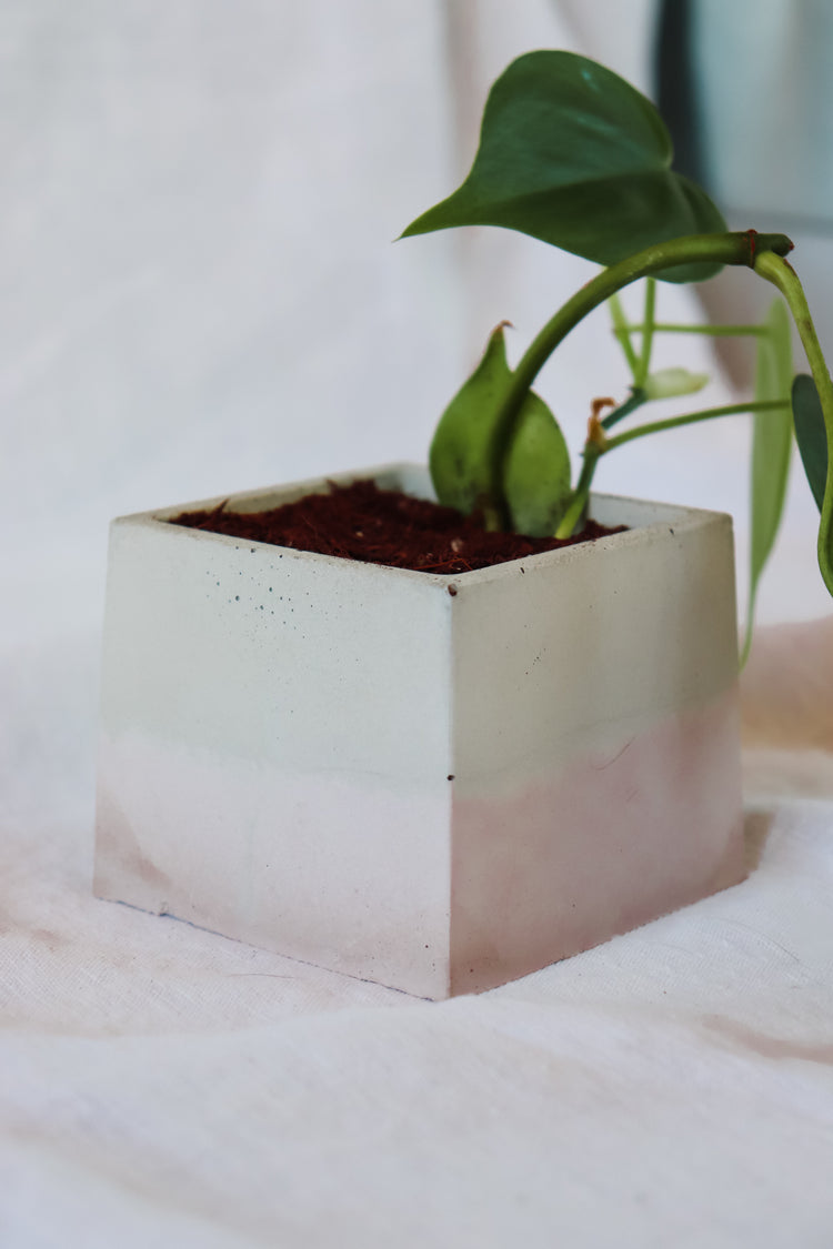 Blush Pink Concrete Plant Pot - Square